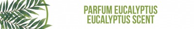 Eucalyptus